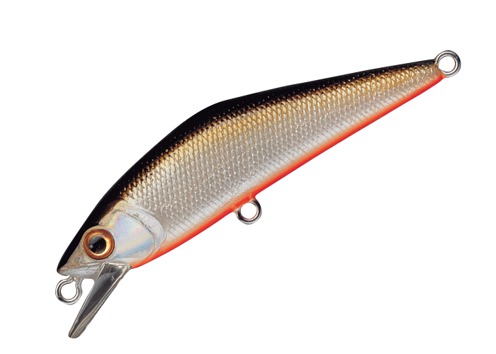 Sinking Minnow - Smith - D-Contact 50