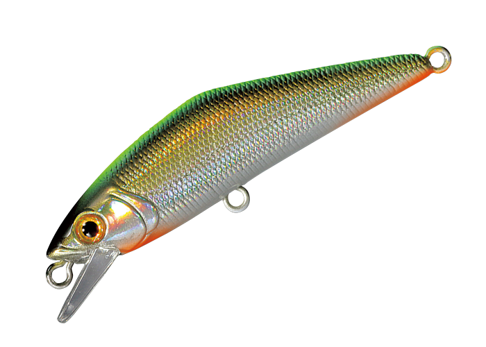 Sinking Minnow - Smith - D-Contact 50