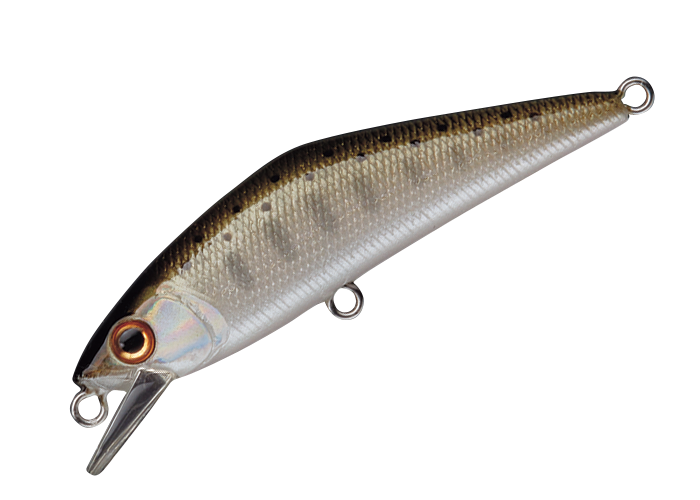 Sinking Minnow - Smith - D-Contact 50