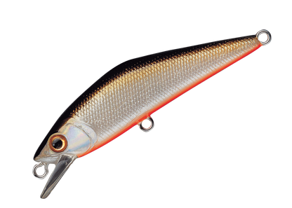 Sinking Minnow - Smith - D-Contact 50