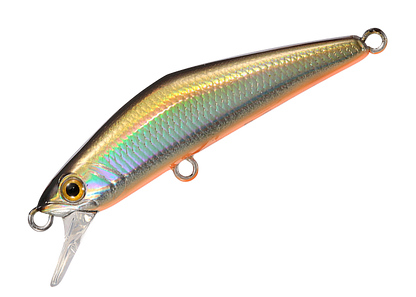 Sinking Minnow - Smith - D-Compact 38